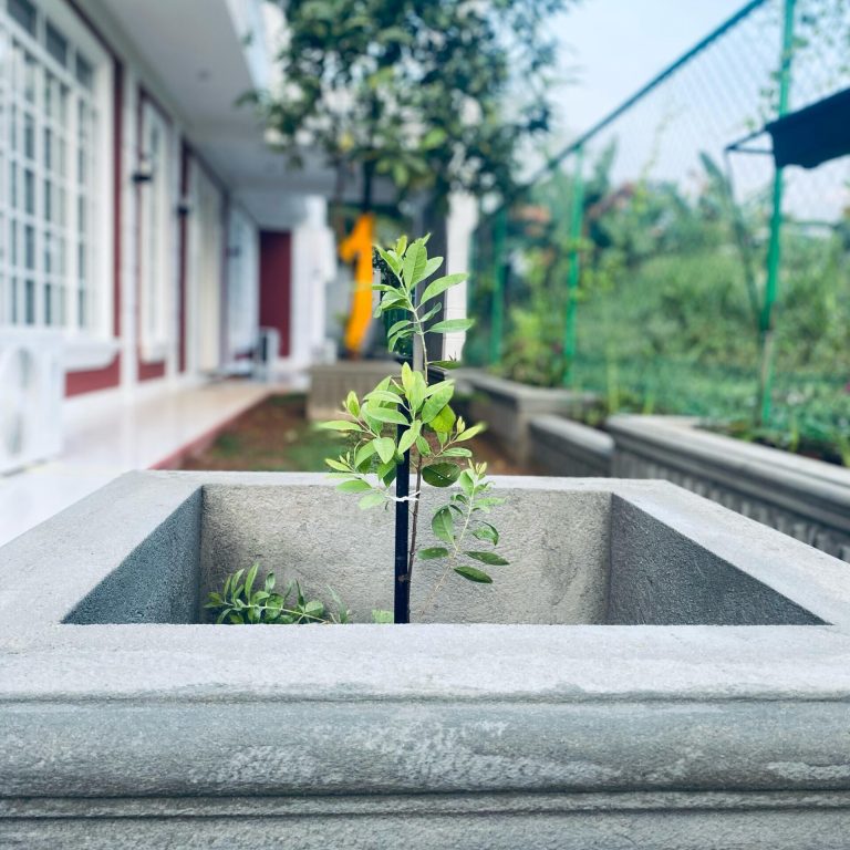 WhatsApp Image 2025-03-19 at 15.46.32